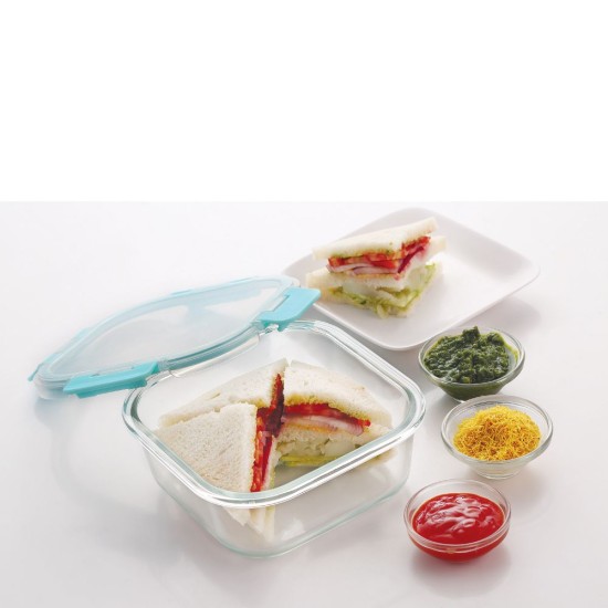 HAZEL Borosilicate Glass Square Airtight & Leaf Proof Container 800 ml